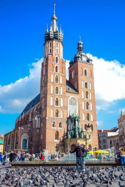 St. Mary Bazilikası 'nı cephede güvercin sürüsüyle ziyaret eden turistler, Polonya' nın başkenti Krakow 'daki ana kasaba meydanına bitişik antik bir Gotik Polonya kilisesi.