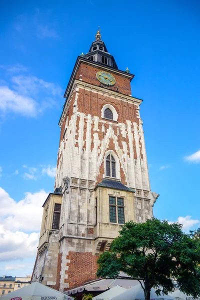 克拉科夫市政厅塔 Krakow Town Hall Tower 位于波兰克拉科夫老城主要市场广场的主塔 免版税图库图片