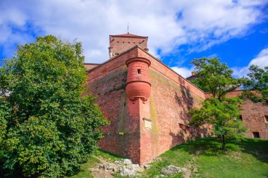 Wawel Kraliyet Kalesi 'nin dışında Wawel Hill, Krakow, Polonya' da.