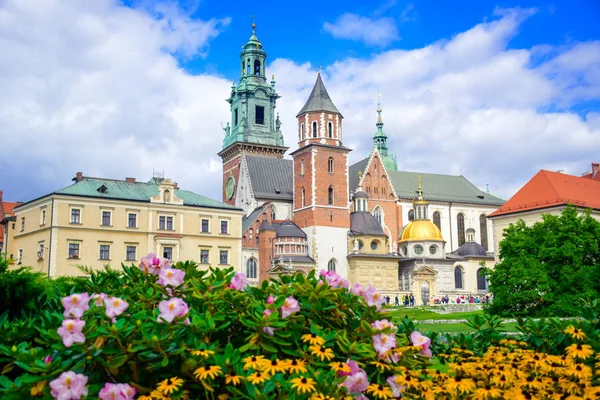 瓦维尔皇家城堡和瓦维尔大教堂 前面有花园 是位于波兰克拉科夫市中心的皇家城堡 图库图片