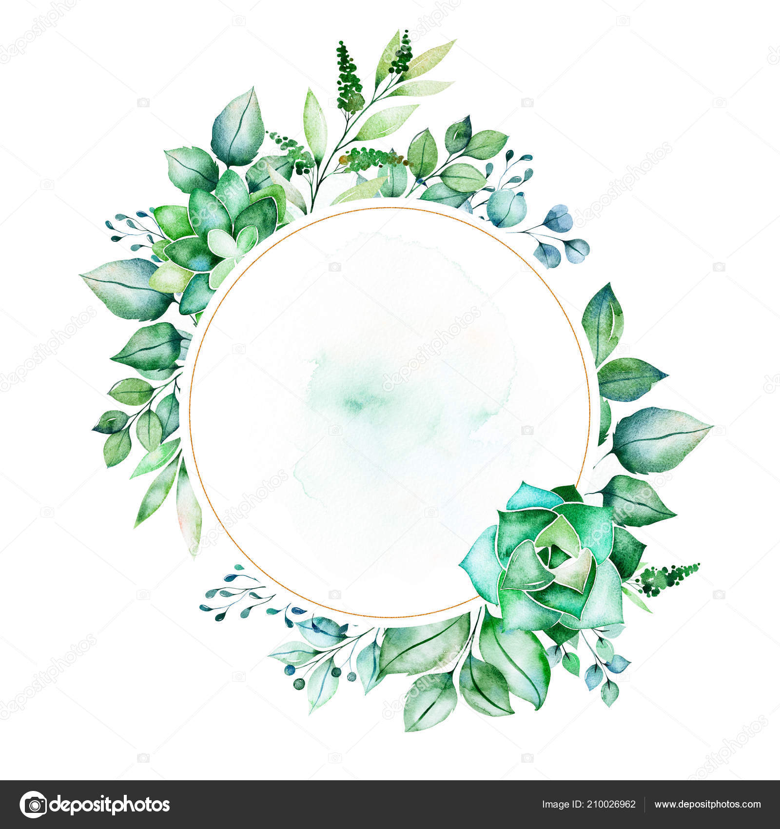 43+ Frame Watercolor Flower Circle Png Pics