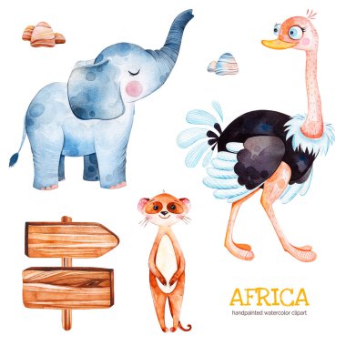 Şirin devekuşu, çöl faresi, fil ve taş ile Safari toplama