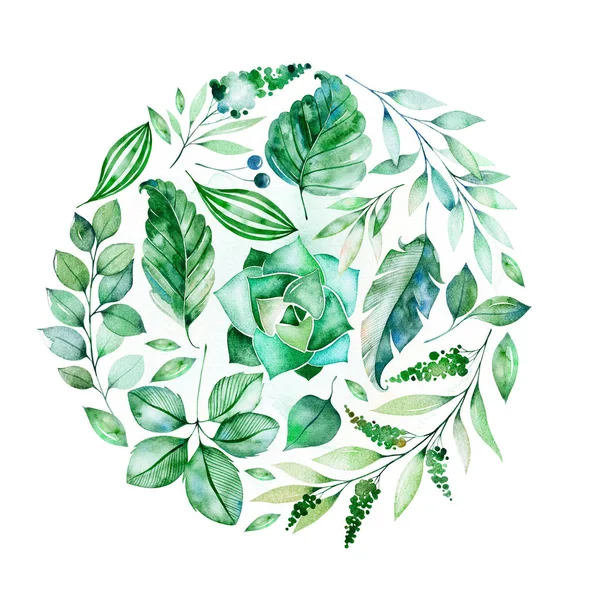Grüne Aquarell Blätter Kreis Hintergrund — Stockfoto