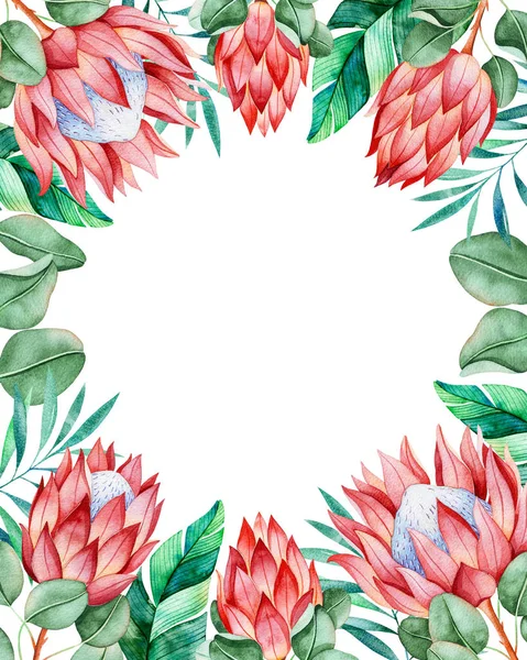 Lovely invitation card. Pre-made frame border with king protea and tropical leaves.