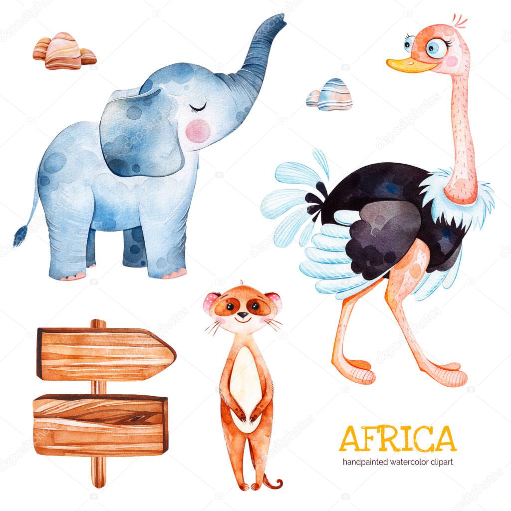 Safari collection with cute ostrich, meerkat, elephant and stones