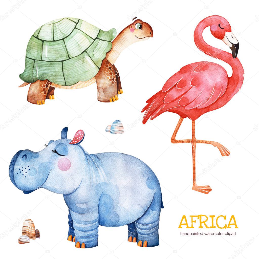 watercolor safari collection with flamingo, hippo, turtle and stones