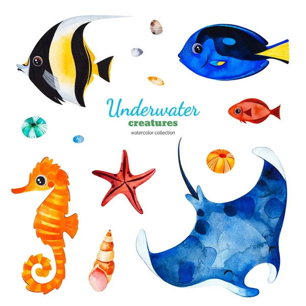 Watercolor Collection Underwater Creatures White Background — Stock Photo, Image