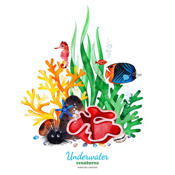 Coleção Aquarela Com Criaturas Subaquáticas Fundo Branco — Fotografia de Stock