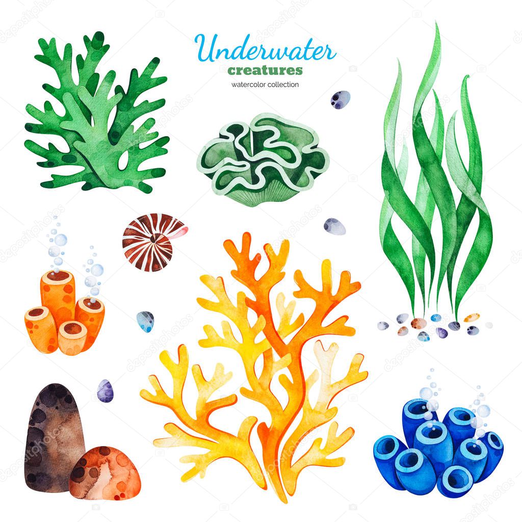 watercolor collection with underwater creatures on white background 