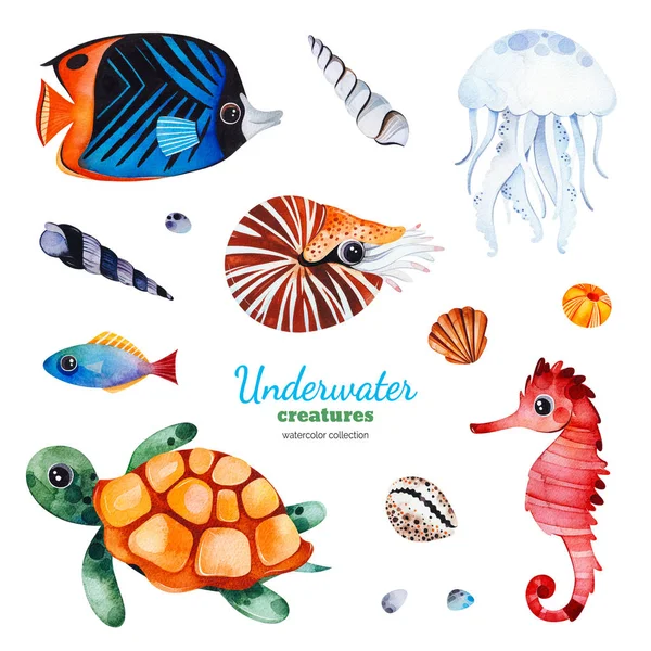 Aquarel Collectie Met Onderwater Wezens Witte Achtergrond — Stockfoto