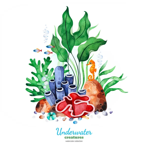 Watercolor Collection Underwater Creatures White Background — Stock Photo, Image