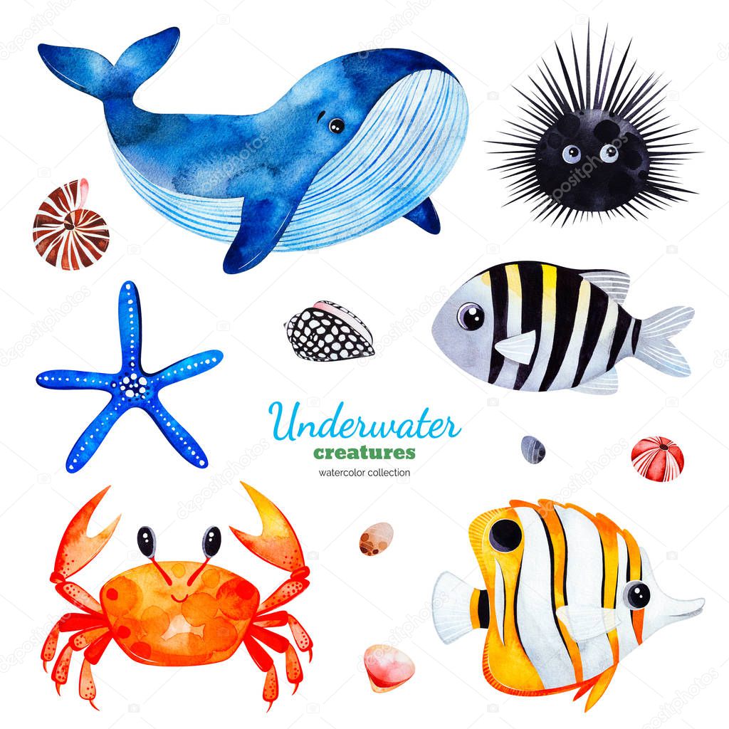 watercolor collection with underwater creatures on white background 