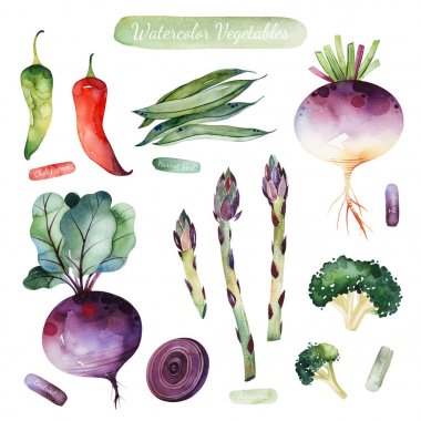 Suluboya el boyalı sebzeler, Kuşkonmaz, brokoli, pancar, biber ile dikişsiz doku