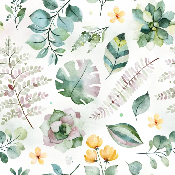 beautiful watercolor seamless pattern with succulent plants, fern leaves, branches and flowers isolated on white