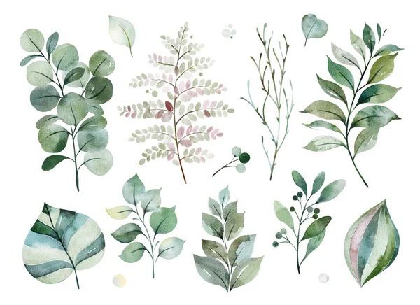 beautiful watercolor seamless pattern with succulent plants, fern leaves, branches isolated on white