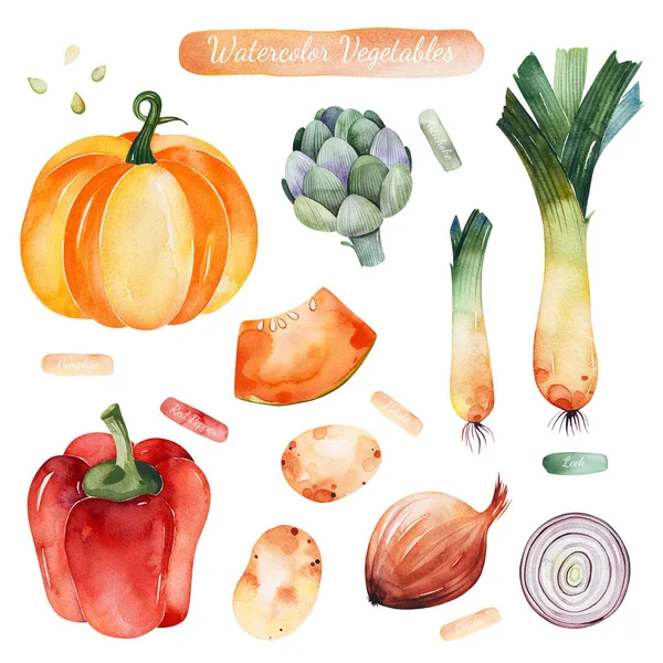 Suluboya el boyalı sebzeler, Kabak ile dikişsiz doku, biber, patates, soğan