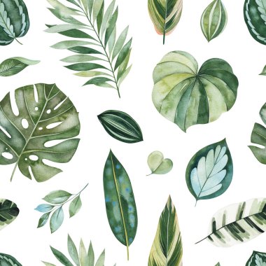 beyaz arka plan üzerinde izole yeşil tropikal yaprakları kümesi