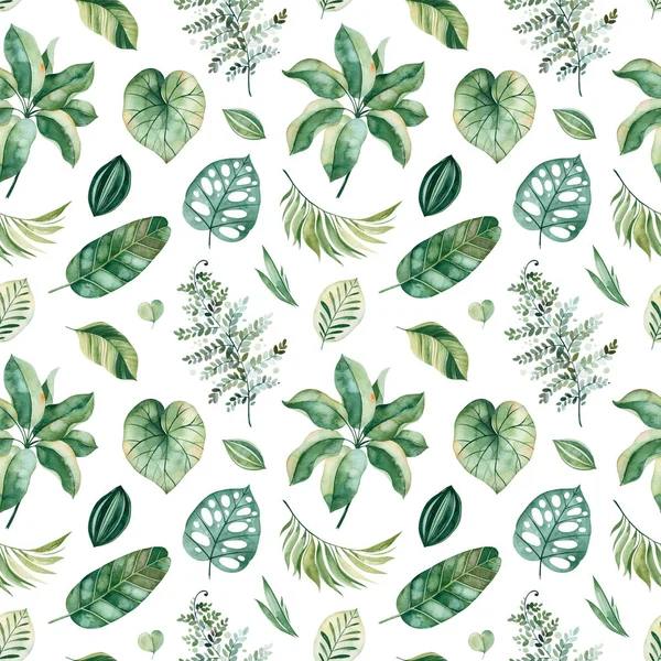 Set Von Grünen Tropischen Blättern Isoliert Auf Weißem Hintergrund — Stockfoto