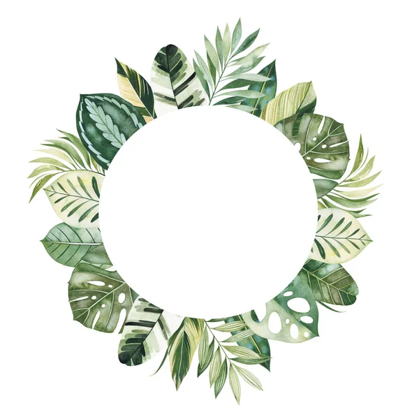 Okrągły Rama Zielonych Tropikalnych Liści Wyizolowanych Białym Tle — Zdjęcie stockowe