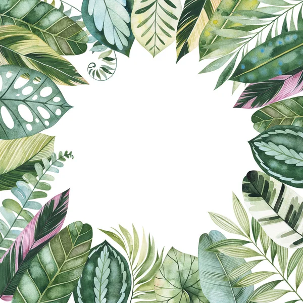 白い背景に隔離された緑の熱帯の葉の丸いフレーム — ストック写真