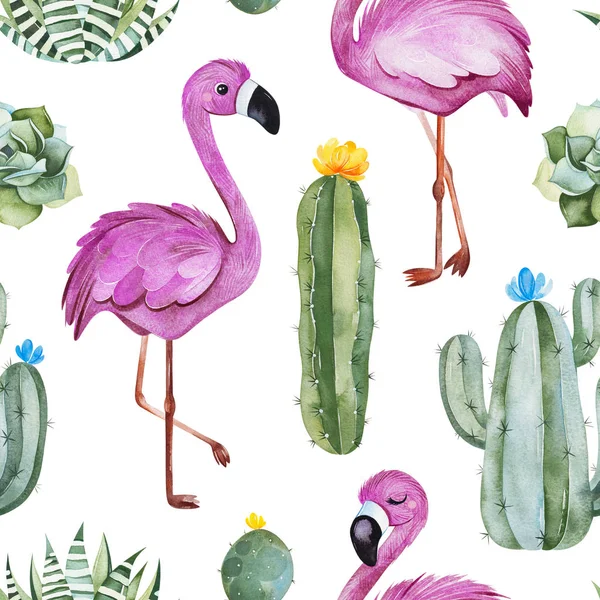 Aquarel Flamingo Vogels Cactussen Geïsoleerd Witte Achtergrond — Stockfoto