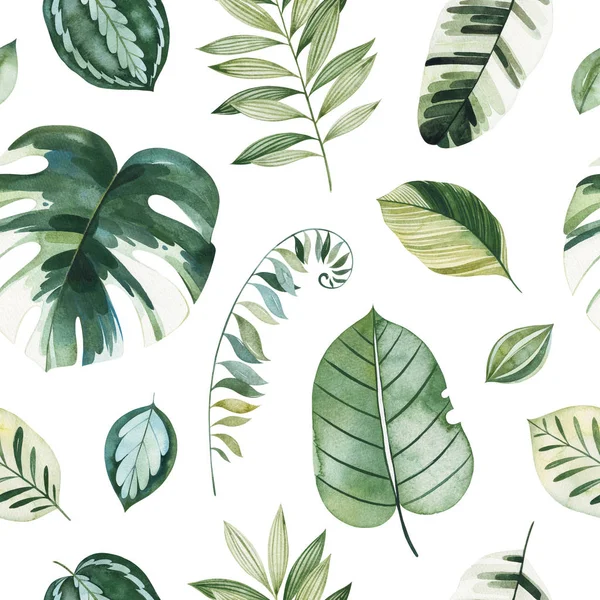 白い背景に隔離された緑の熱帯葉のセット — ストック写真