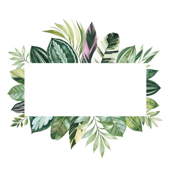 Frame Van Groene Tropische Bladeren Geïsoleerd Witte Achtergrond — Stockfoto