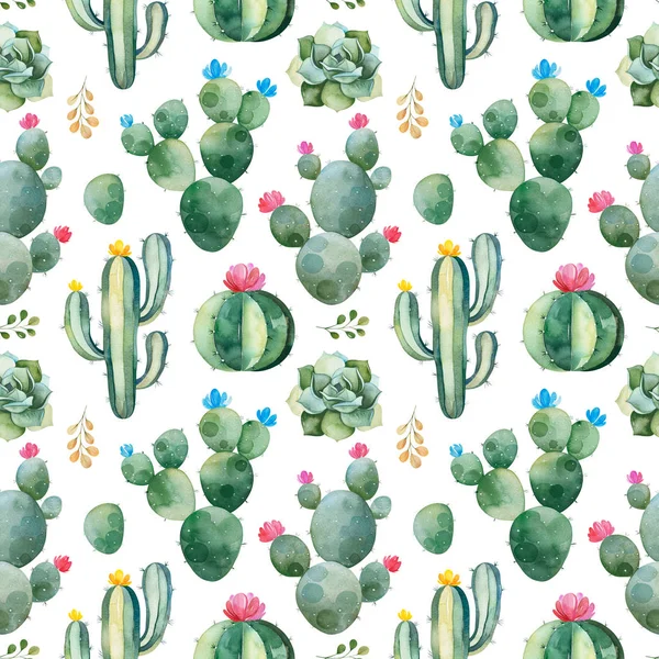 Aquarel Bloeiende Cactussen Geïsoleerd Witte Achtergrond — Stockfoto