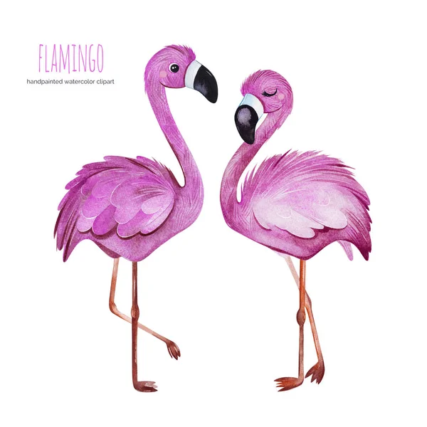 Акварель Фламинго Птиц Изолированы Белом Фоне — стоковое фото