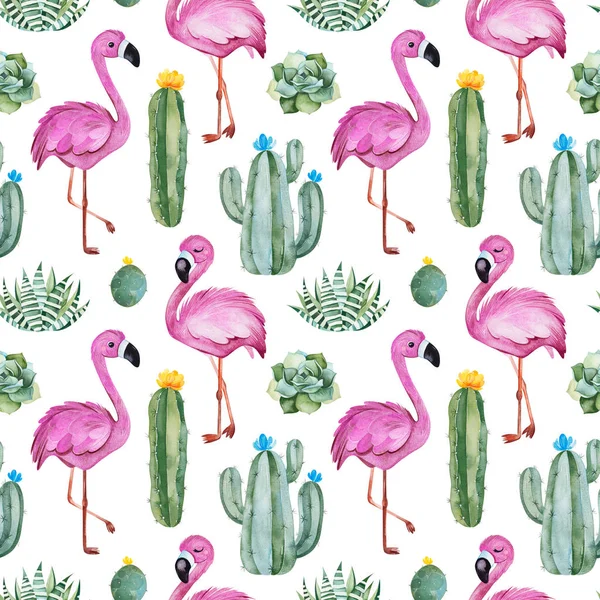 Aquarel Flamingo Vogels Cactussen Geïsoleerd Witte Achtergrond — Stockfoto