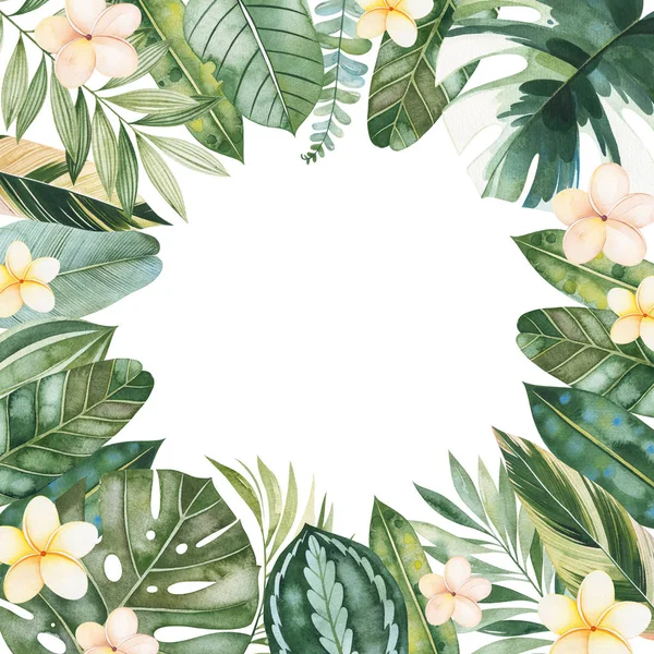 Круглая Рамка Зеленых Тропических Листьев Цветов Белом Фоне — стоковое фото