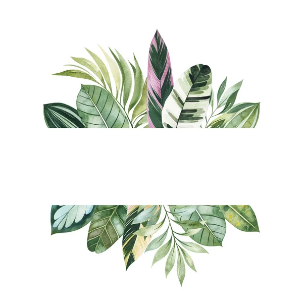 Rám Zelených Tropických Listů Izolovaných Bílém Pozadí — Stock fotografie