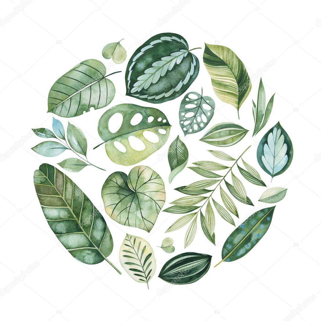 round pattern of green tropical leaves isolated on white background