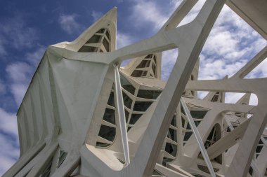 Museu de les Cincies Prncipe Felipe Müzesi, sanat ve bilim (Santiago Calatrava) Valencia, İspanya şehir