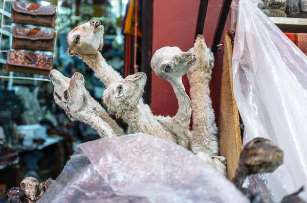 Fetos de llama en venta en el Mercado de Brujas de La Paz en el centro de La Paz, Bolivia, América del Sur —  Fotos de Stock