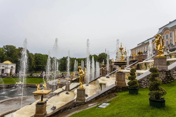 Peterhof, St. Petersburg, Rusya Federasyonu