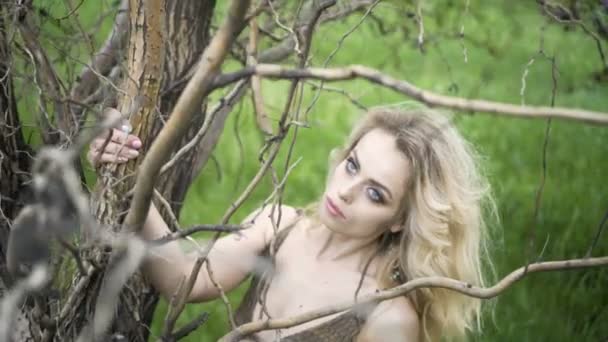 Porträt einer schönen Hippie-Mädchen-Stil Mode in einem Wald. — Stockvideo