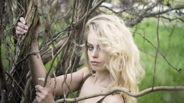 Portret van een mooie hippie meisje stijl mode in een forest. — Stockvideo