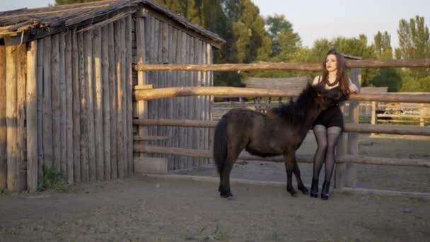 Молодая женщина целует и гладит лошадь — стоковое видео