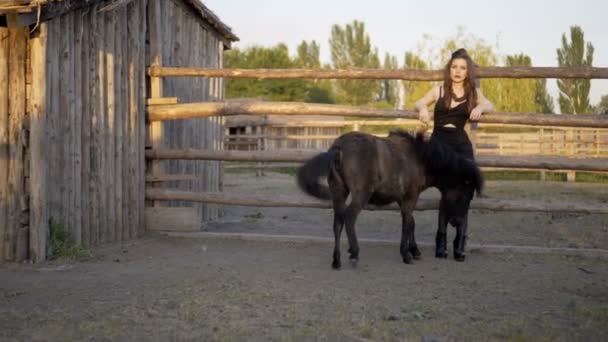 若い女性にキス、彼女の馬をなでる — ストック動画