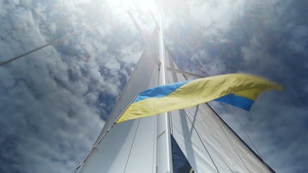 Размахивая флагом Украины. Флаг Украины — стоковое видео