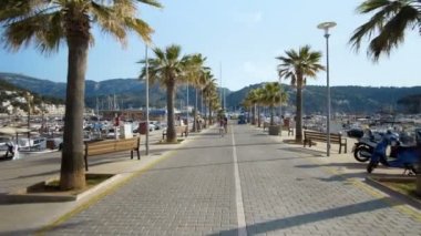 Mavi bir gökyüzü tarafından geçen palmiyeler. Güneşli Beverly Hills ile sürüş. Los Angeles, California. Yeşil.