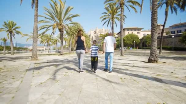 Madre, padre e figlio che si tengono per mano passeggiando lungo un viale con palme — Video Stock