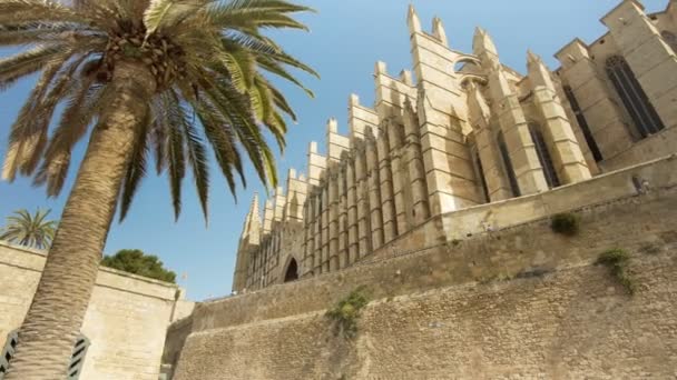 Catedral de Santa Maria Palma de Mallorca — Stock video