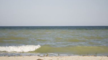 Kız ile kiteboard plaj tropikal plaj boyunca gün batımında yürüyor. Holding Yönetim Kurulu el kızı