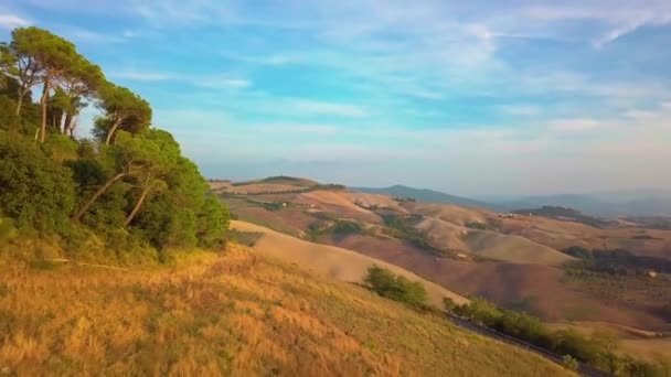 Luchtfoto natuur landschap prachtige heuvels bossen velden en wijngaarden van Toscane, Italië — Stockvideo