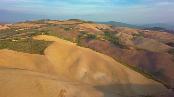 空中自然景観美しい丘の森林フィールドとトスカーナのブドウ畑,イタリア — ストック動画