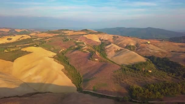 Воздушный пейзаж красивые холмы леса поля и виноградники Тосканы, Италия — стоковое видео