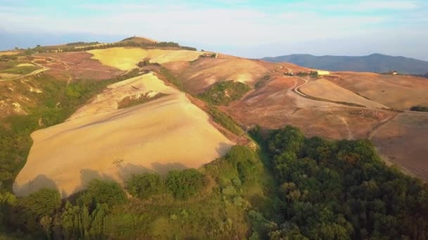 空中自然景観美しい丘の森林フィールドとトスカーナのブドウ畑,イタリア — ストック動画