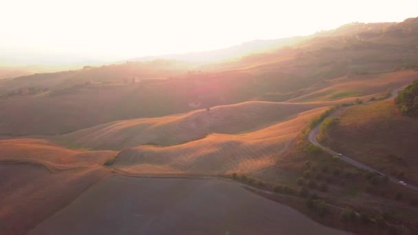 Epic Aerial Flight Over Mist Forrest Sunset Color Autumn Trees Golden Hour Sunset Colors Epic Glory Inspiration Hiking and Tourism Concept — 비디오